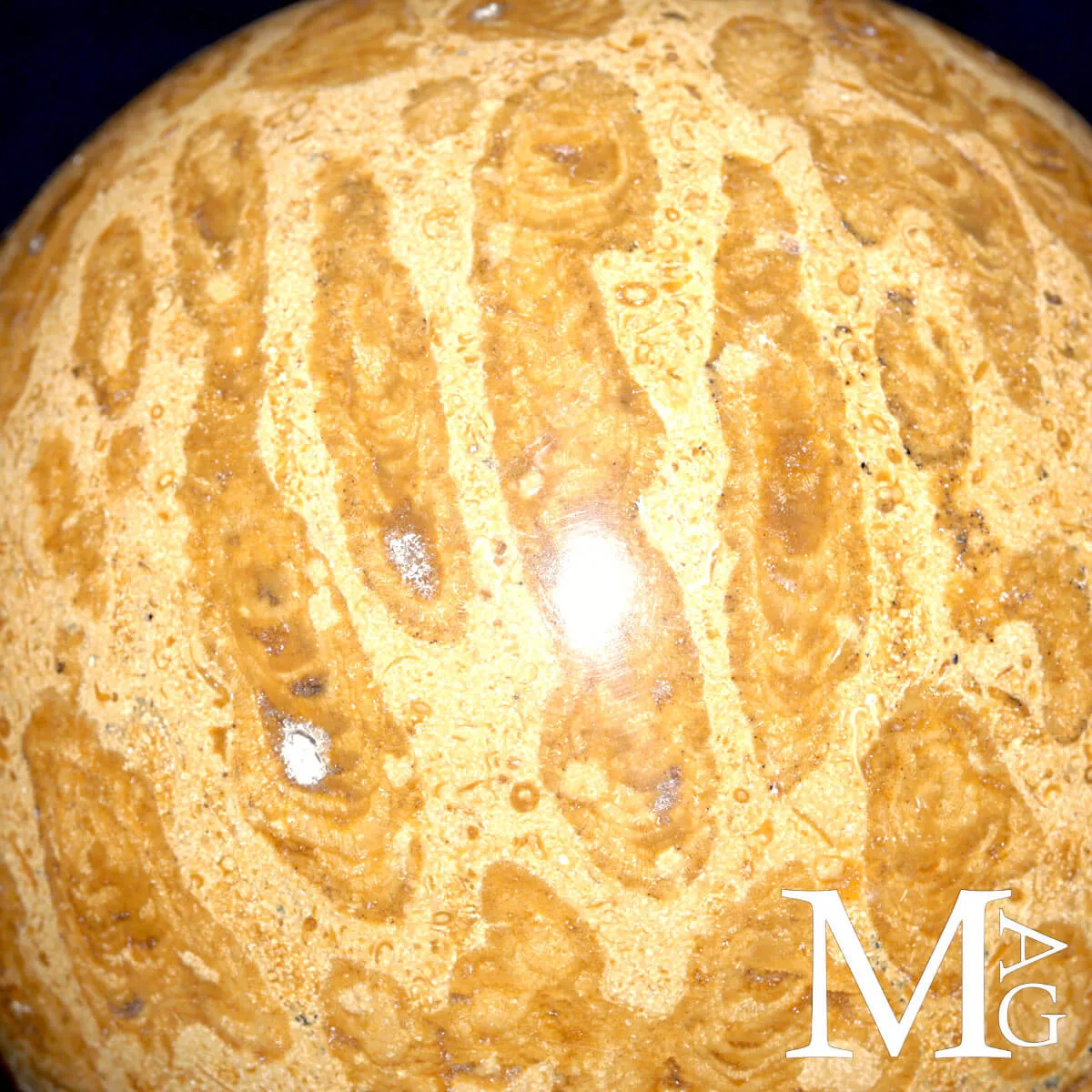 Sfera Fossile in Corallo Madreporico – Madagascar