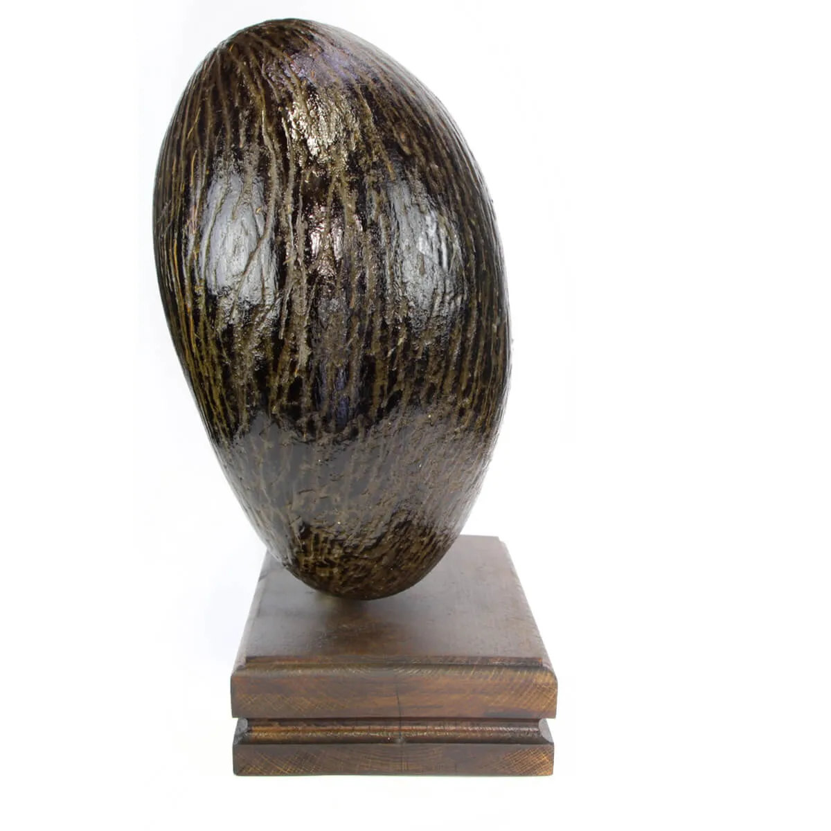Coco de Mer