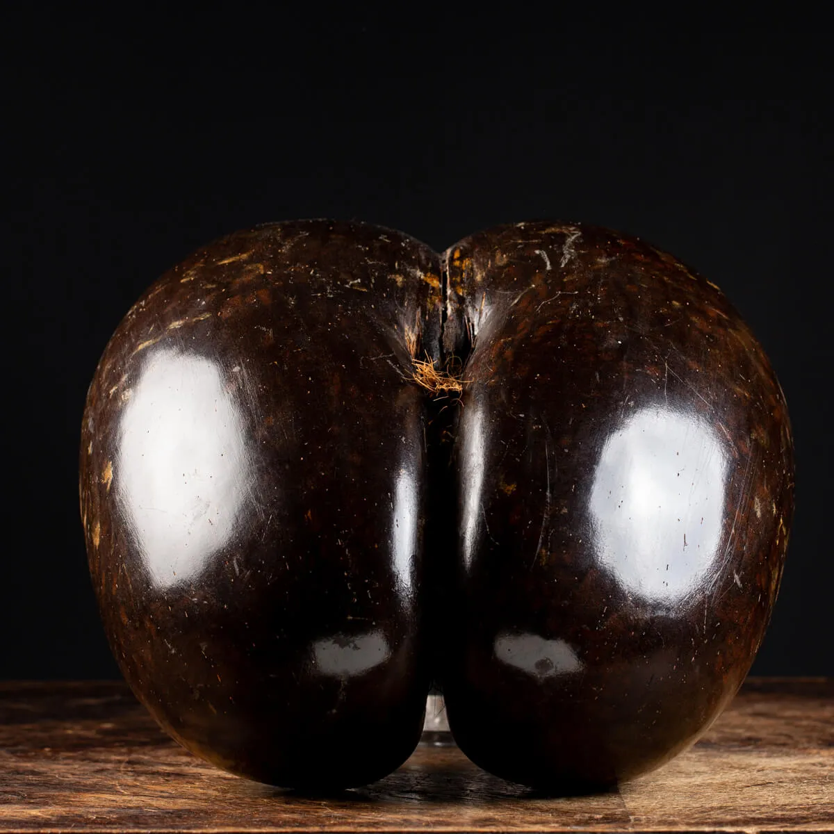 Coco de Mer