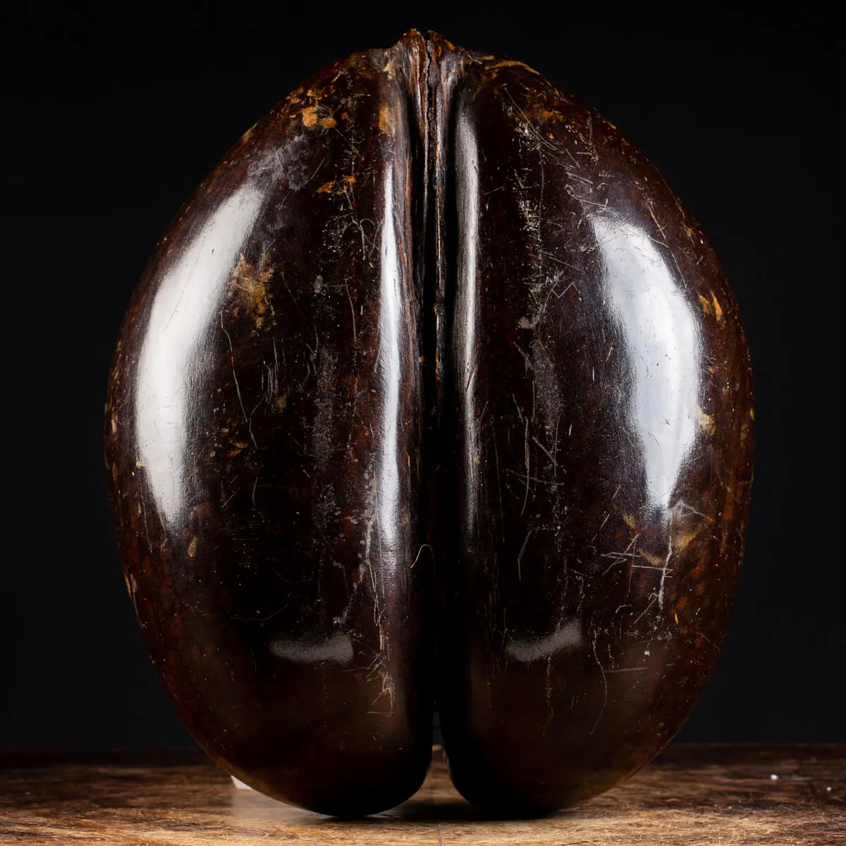 Coco de Mer