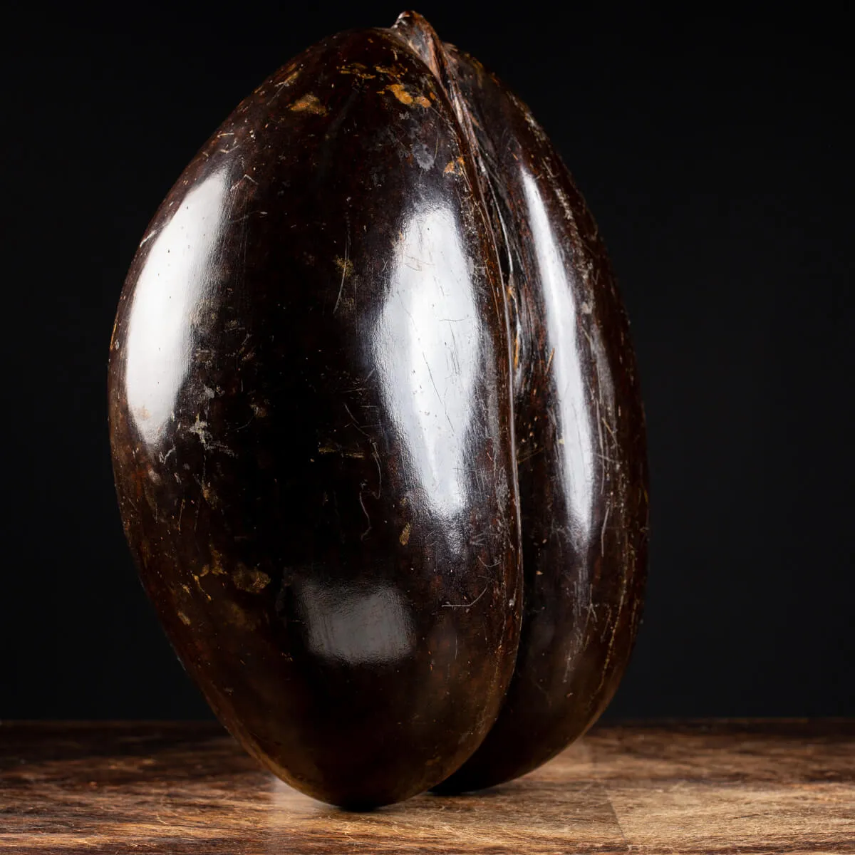 Coco de Mer