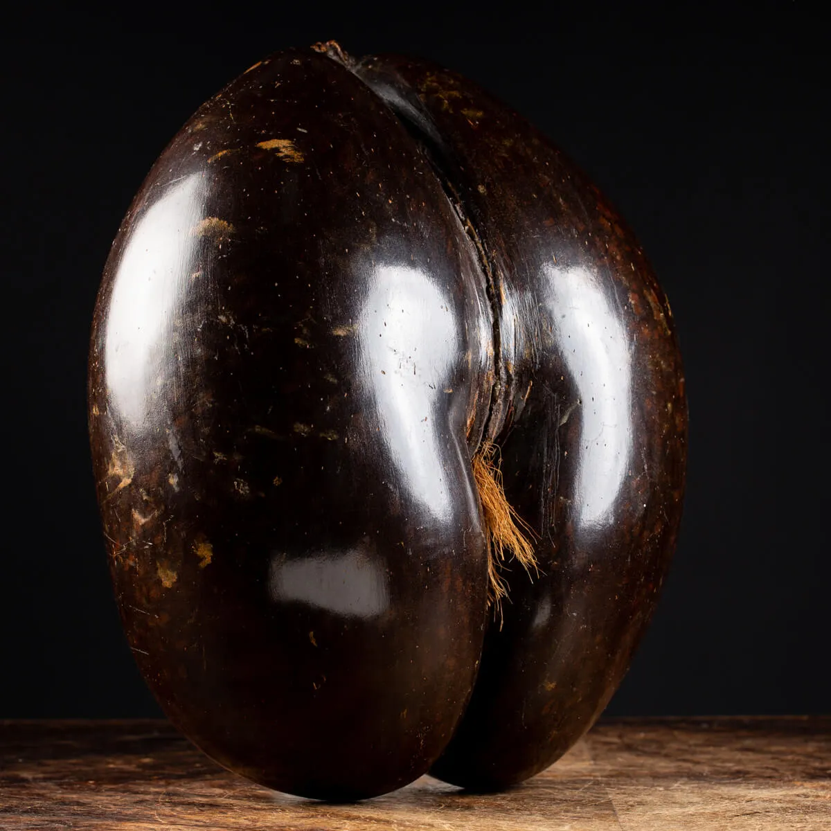 Coco de Mer