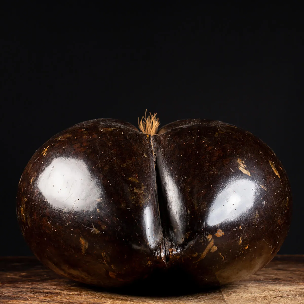 Coco de Mer