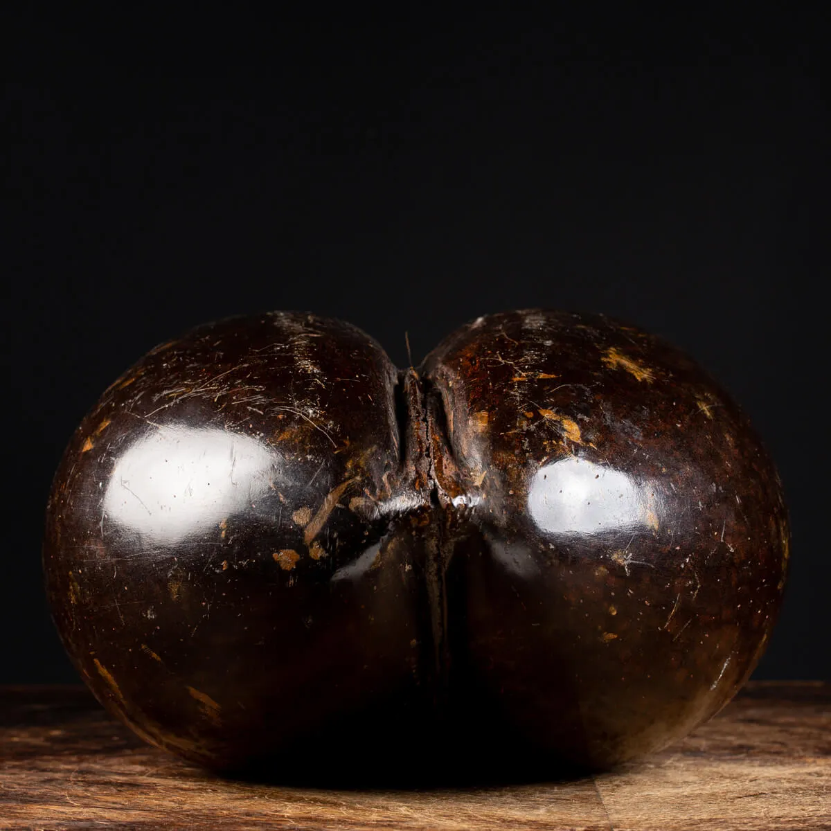 Coco de Mer
