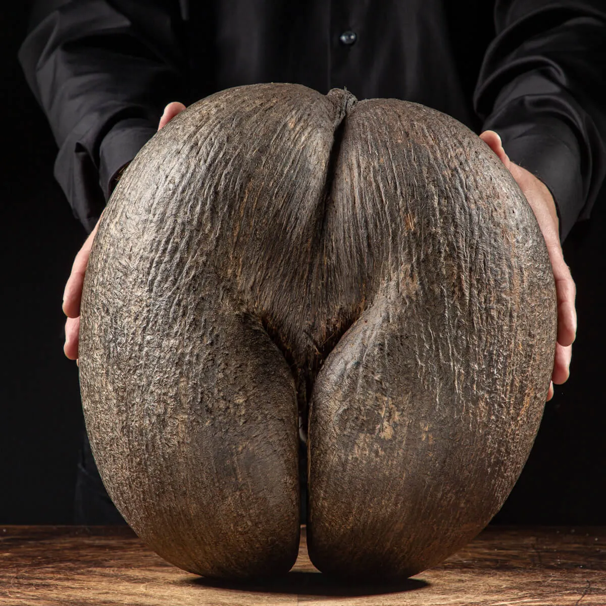 Coco de Mer