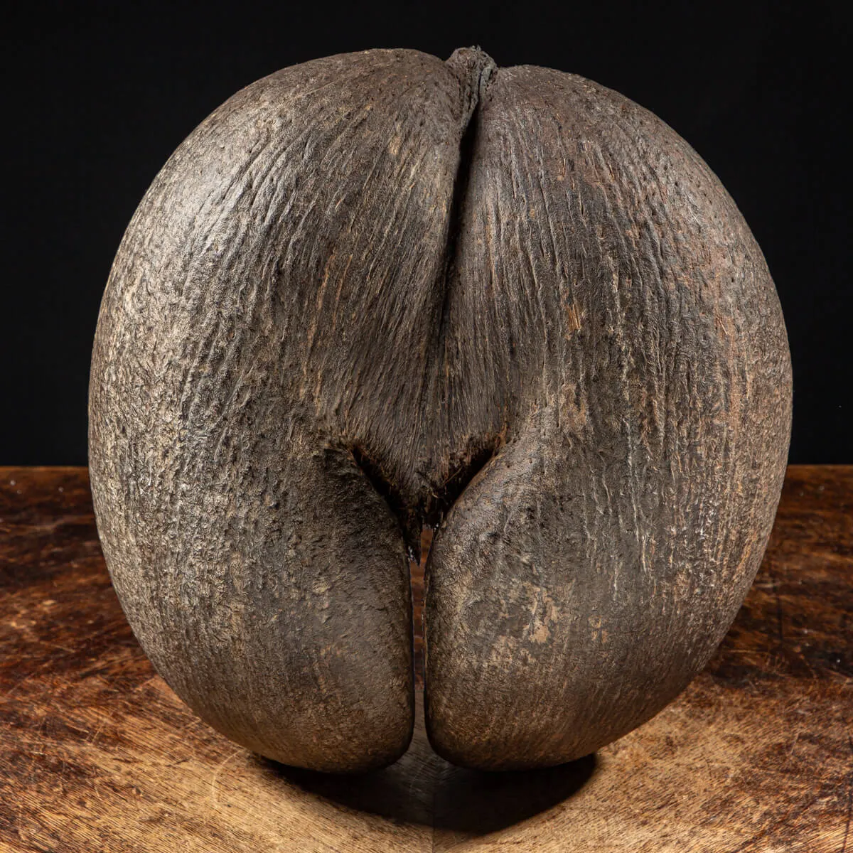 Coco de Mer