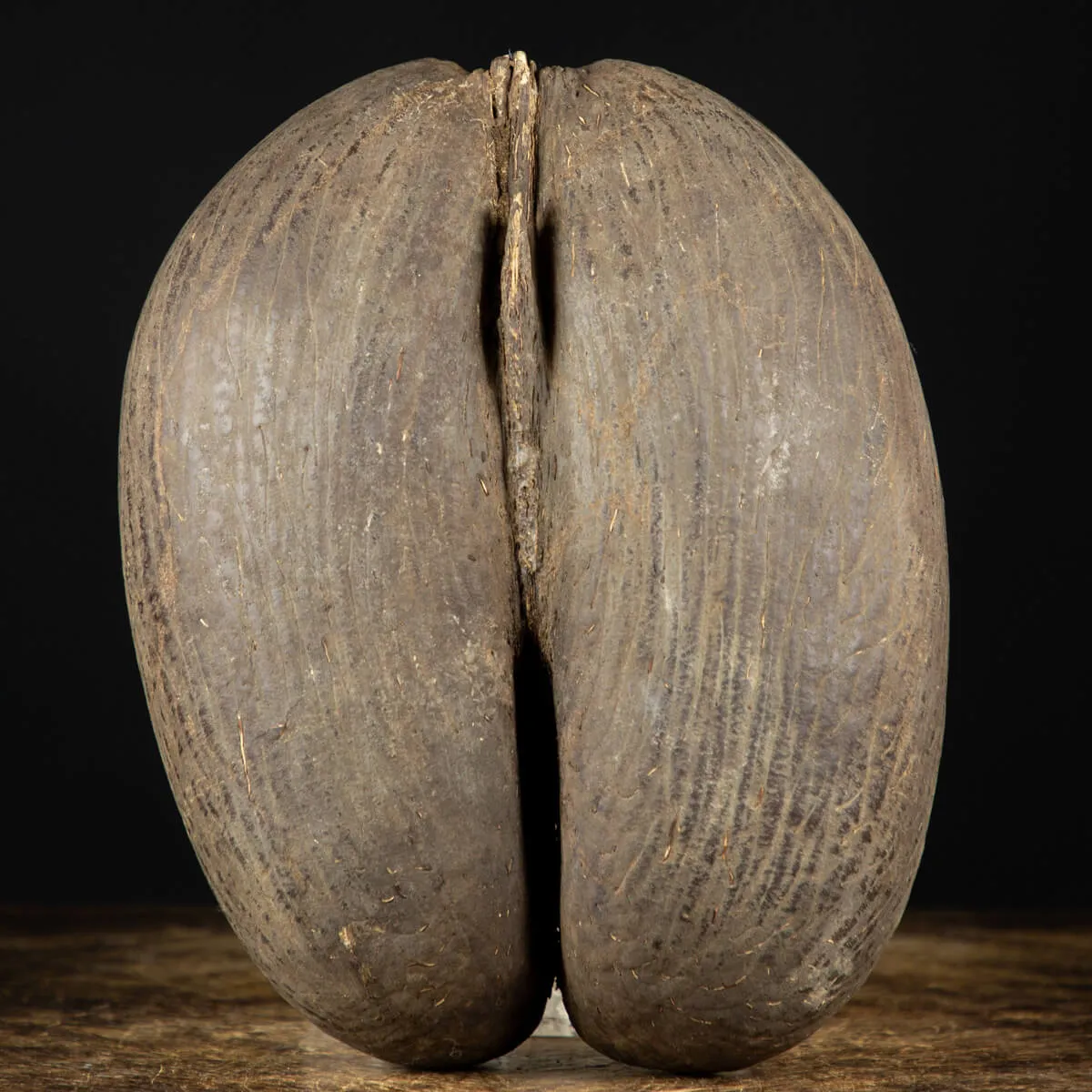 Coco De Mer