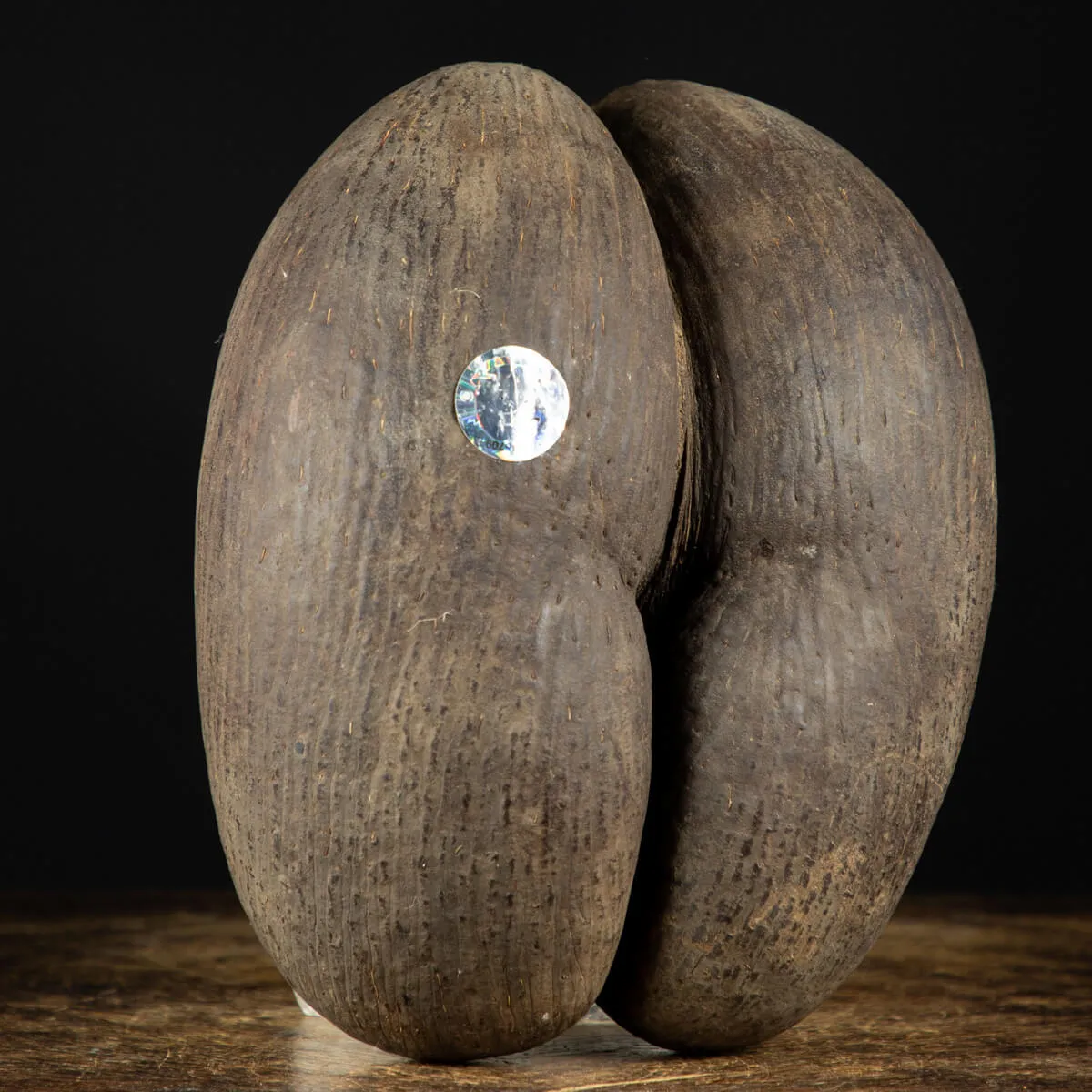 Coco De Mer