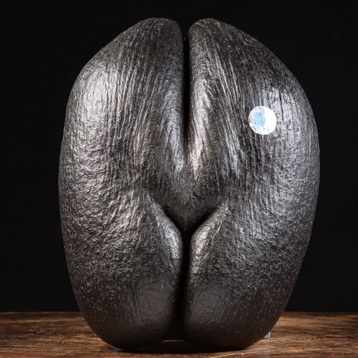 Coco de Mer
