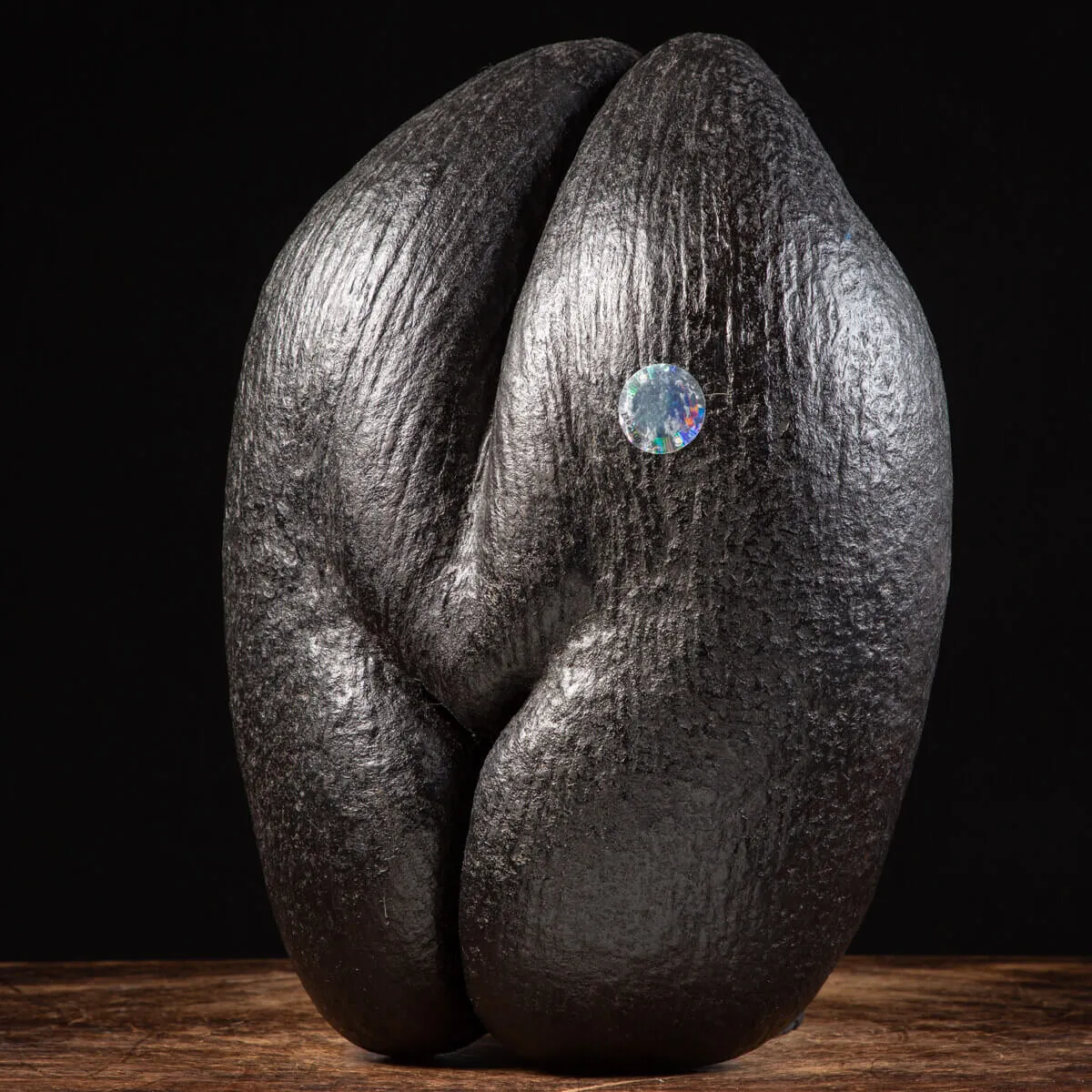 Coco de Mer