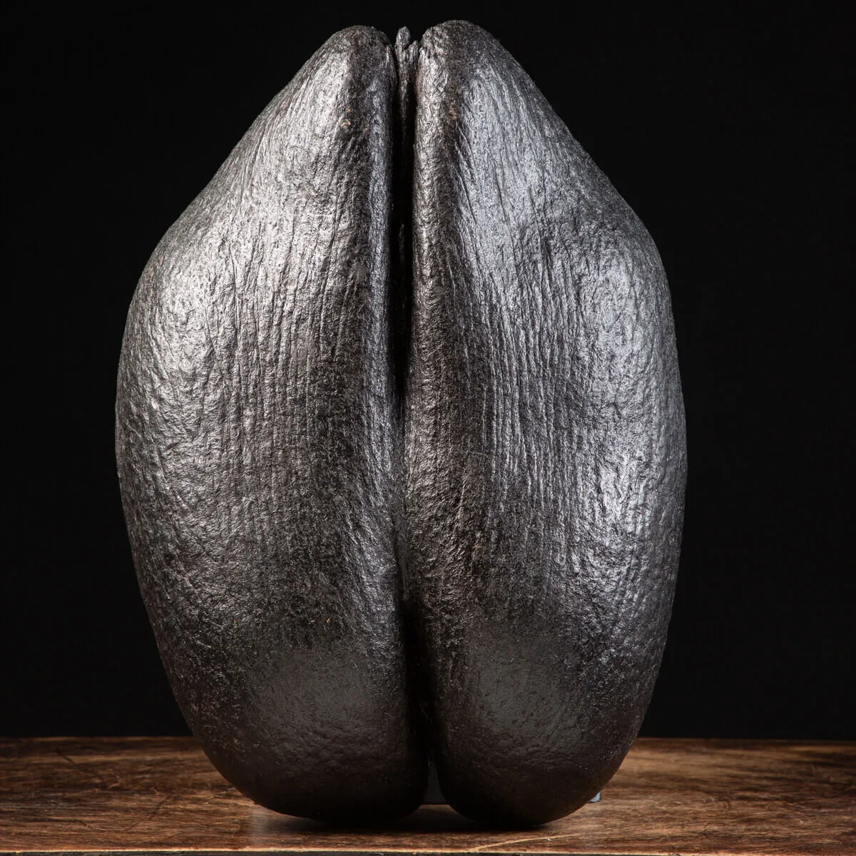 Coco de Mer