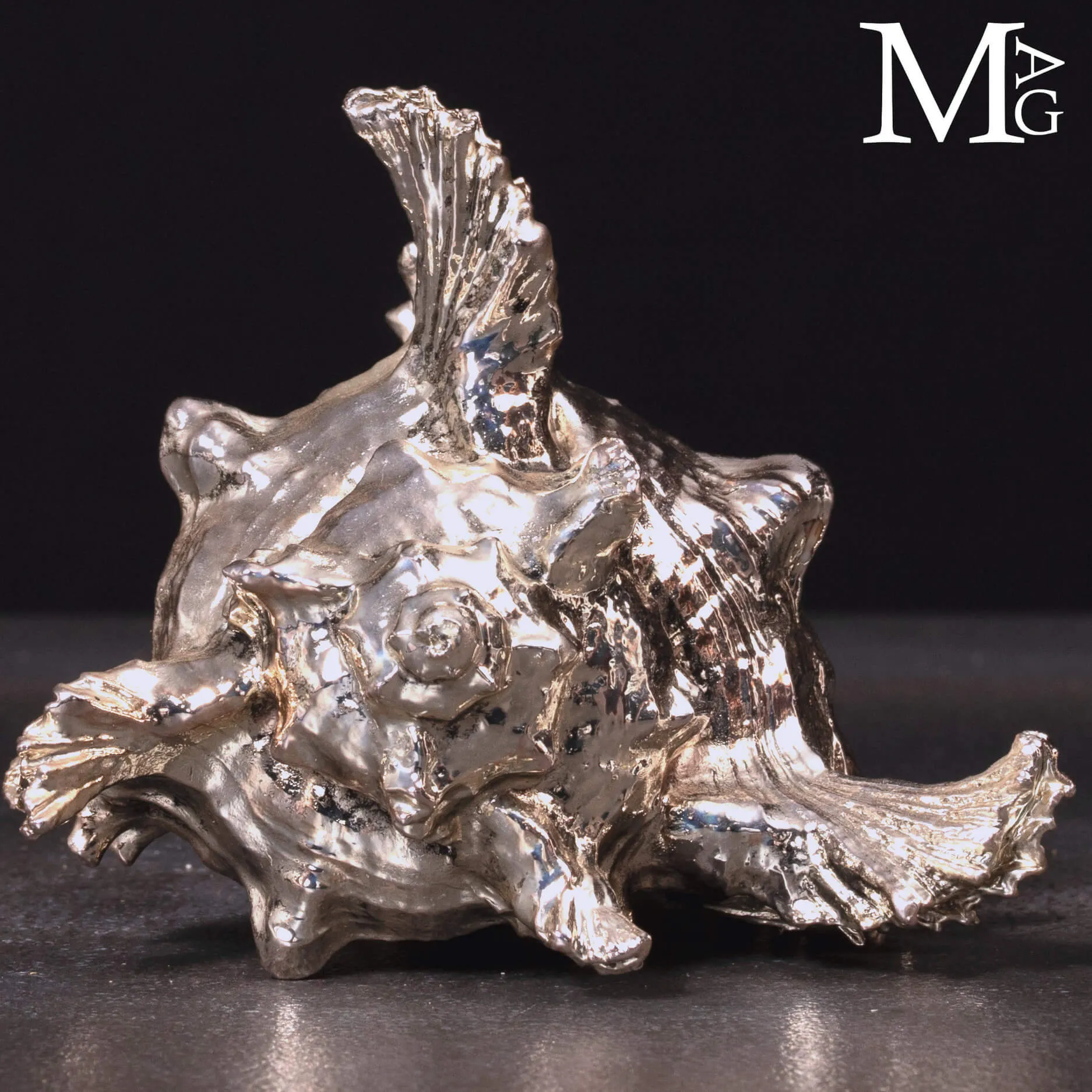 Conchiglia naturale Murex Ramosus con bagno galvanico in argento.
