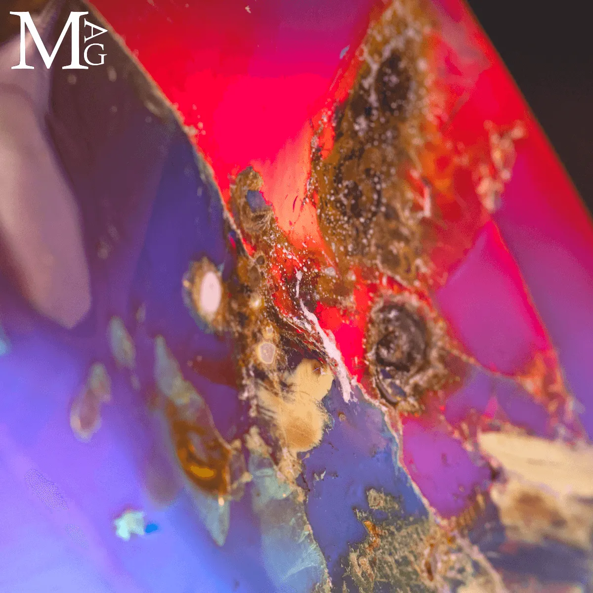 Ambra di Sumatra: pezzo da collezione con spettro UV