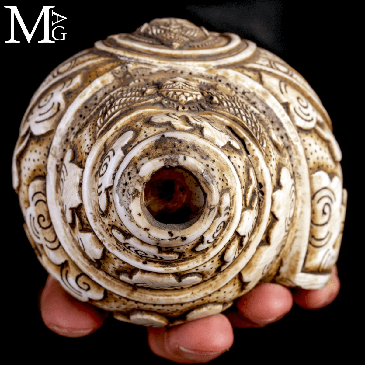 Conchiglia Shankha Tibetana Scolpita – Vishnu Ananta-Shesha, il Dio sul Serpente Cosmico