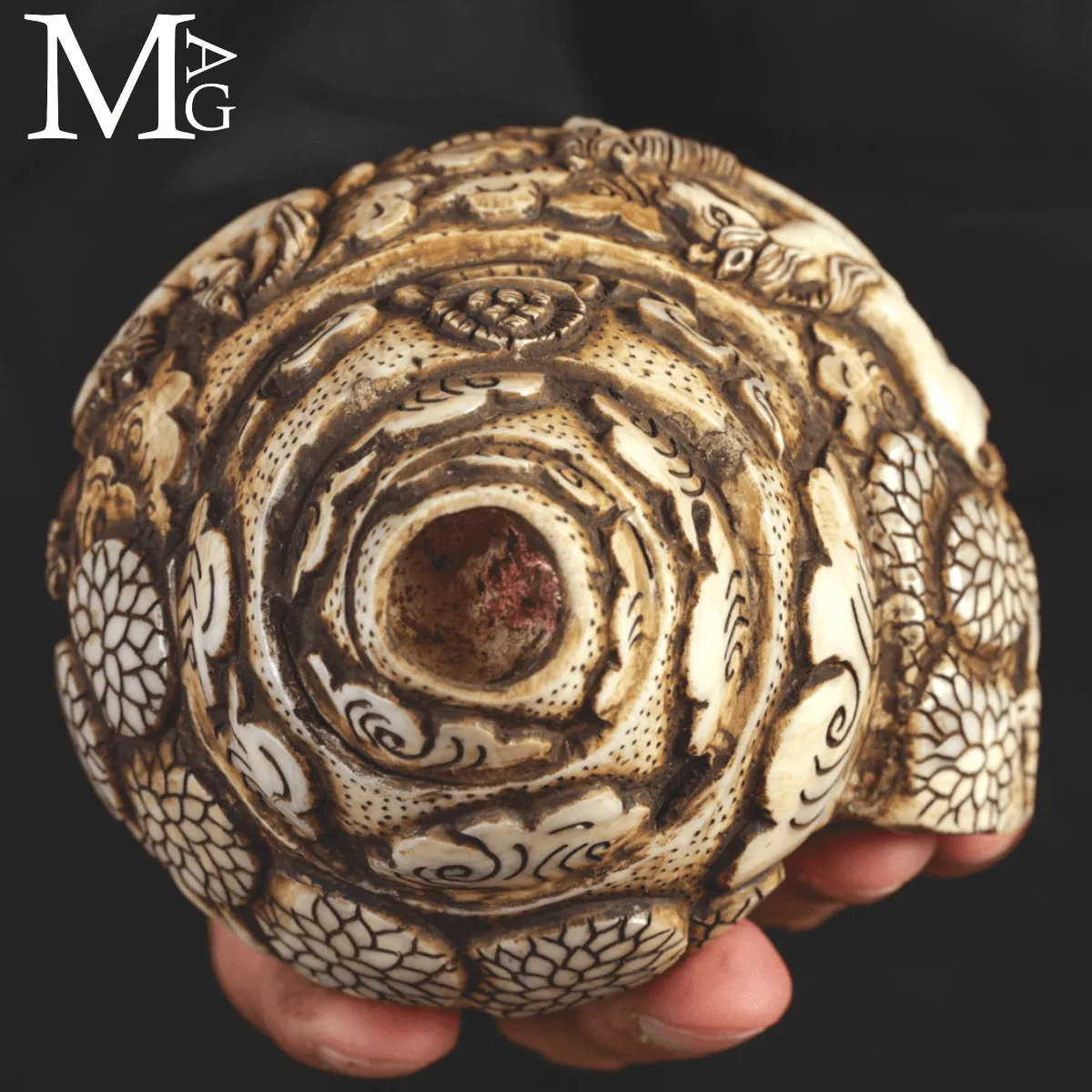 Conchiglia Shankha Tibetana Scolpita – Cavalli nel Giardino del Dharma