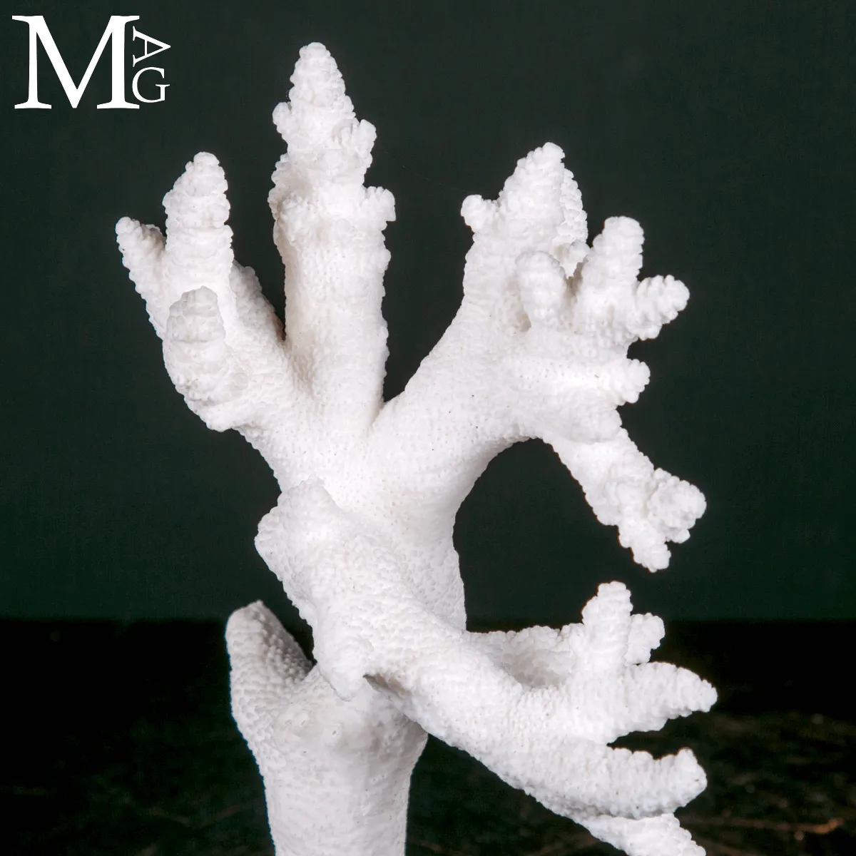 Ramo di Corallo Acropora su Base in Legno e Ottone.