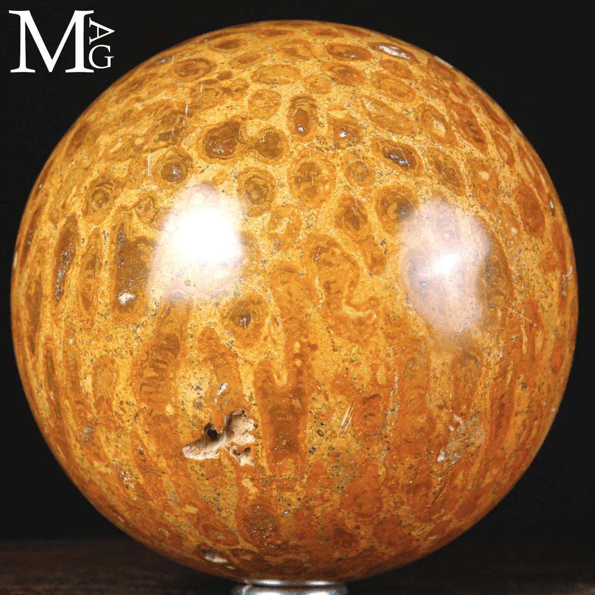 Sfera di Corallo Fossile dal Madagascar.