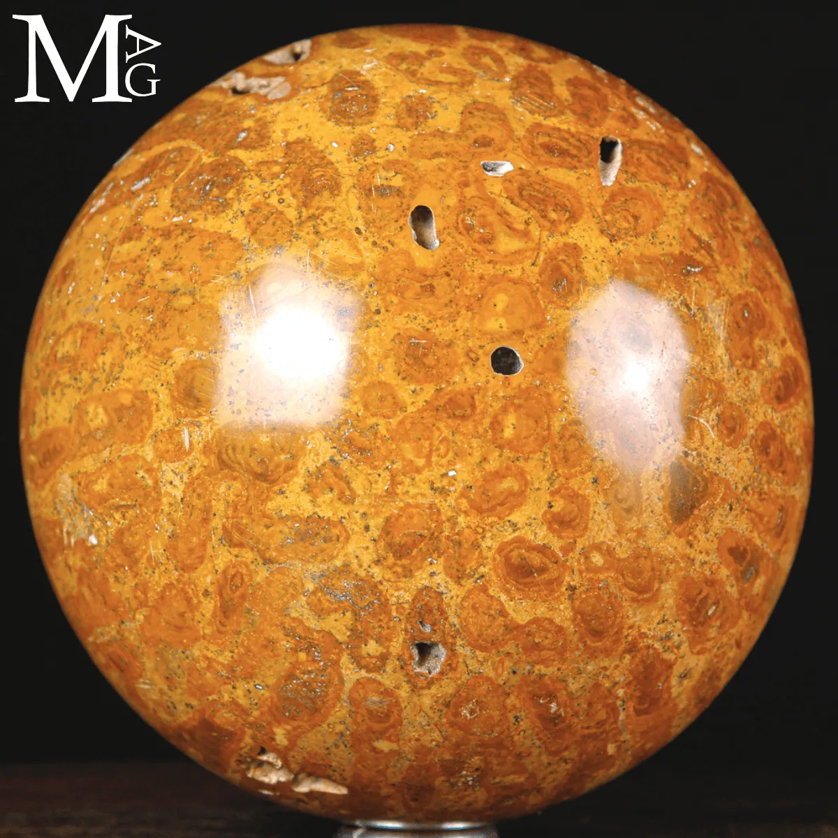 Sfera di Corallo Fossile dal Madagascar.