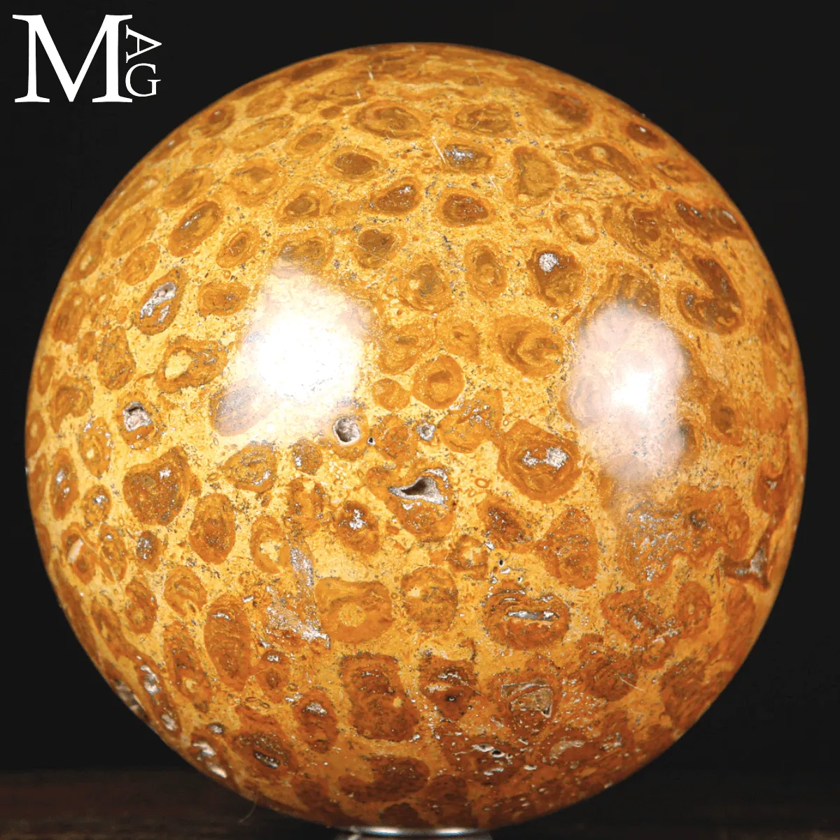 Sfera di Corallo Fossile dal Madagascar.