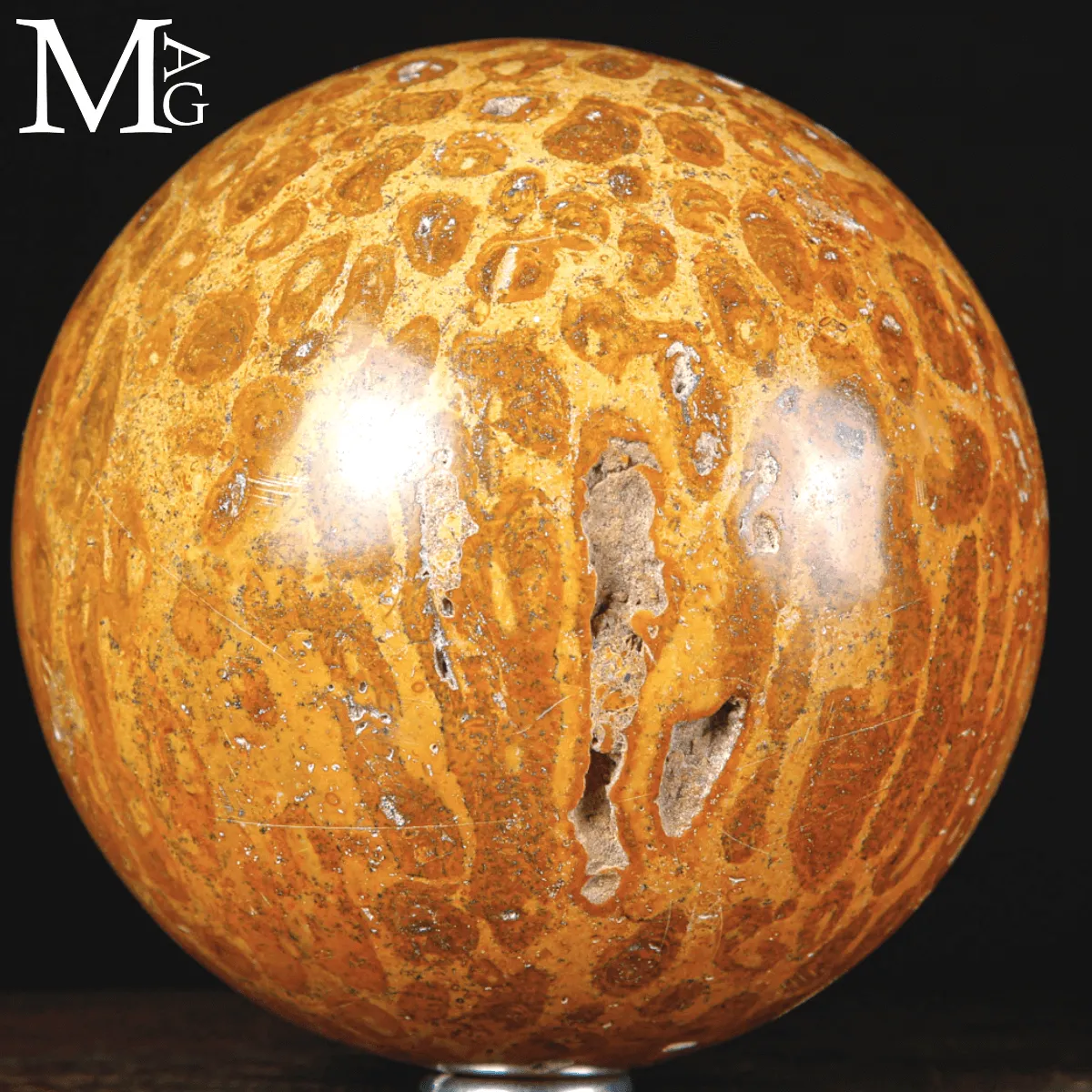 Sfera di Corallo Fossile dal Madagascar.