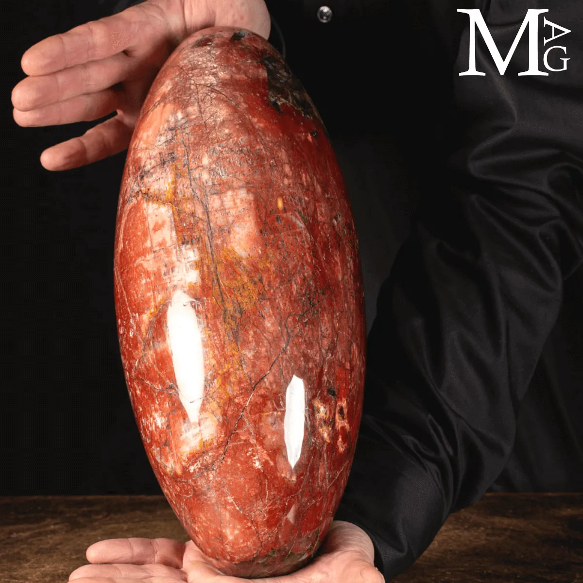 Shiva Lingam in Legno Fossile Agatizzato.