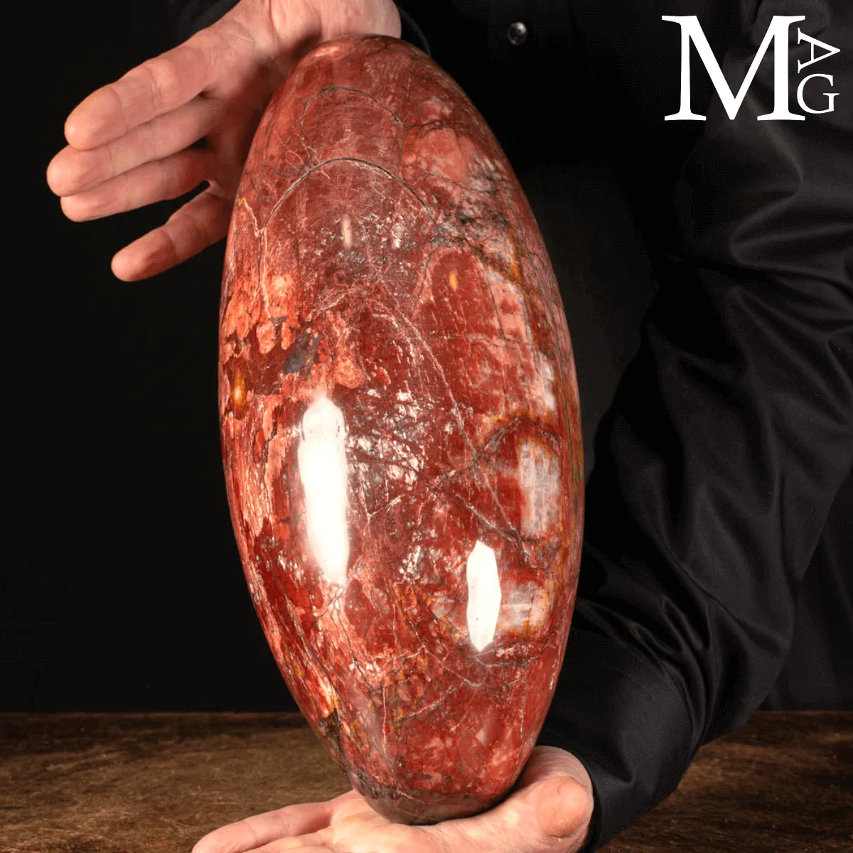 Shiva Lingam in Legno Fossile Agatizzato.