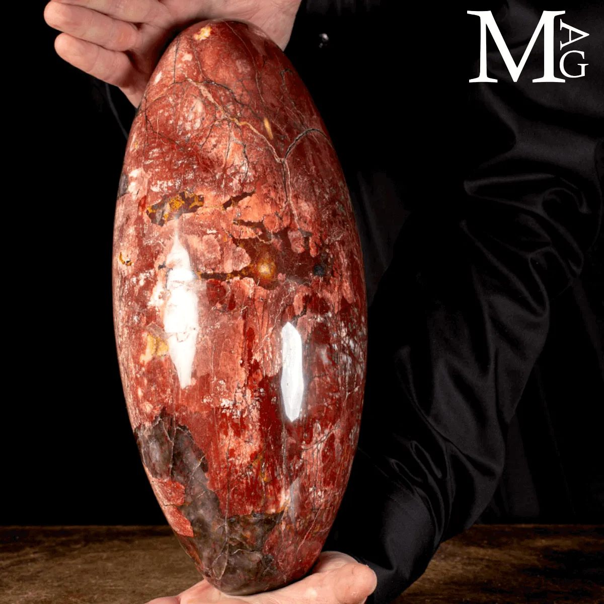 Shiva Lingam in Legno Fossile Agatizzato.