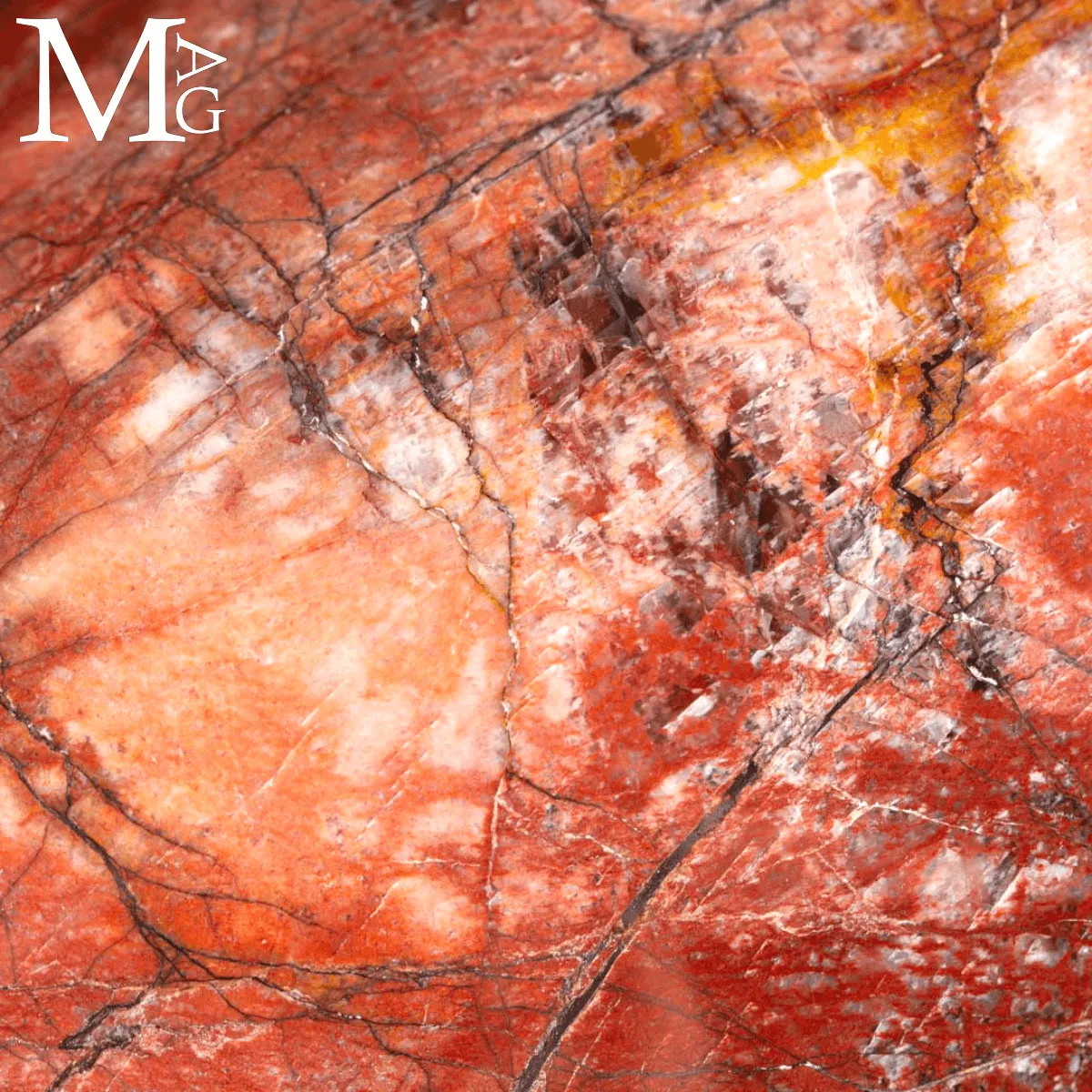 Shiva Lingam in Legno Fossile Agatizzato.