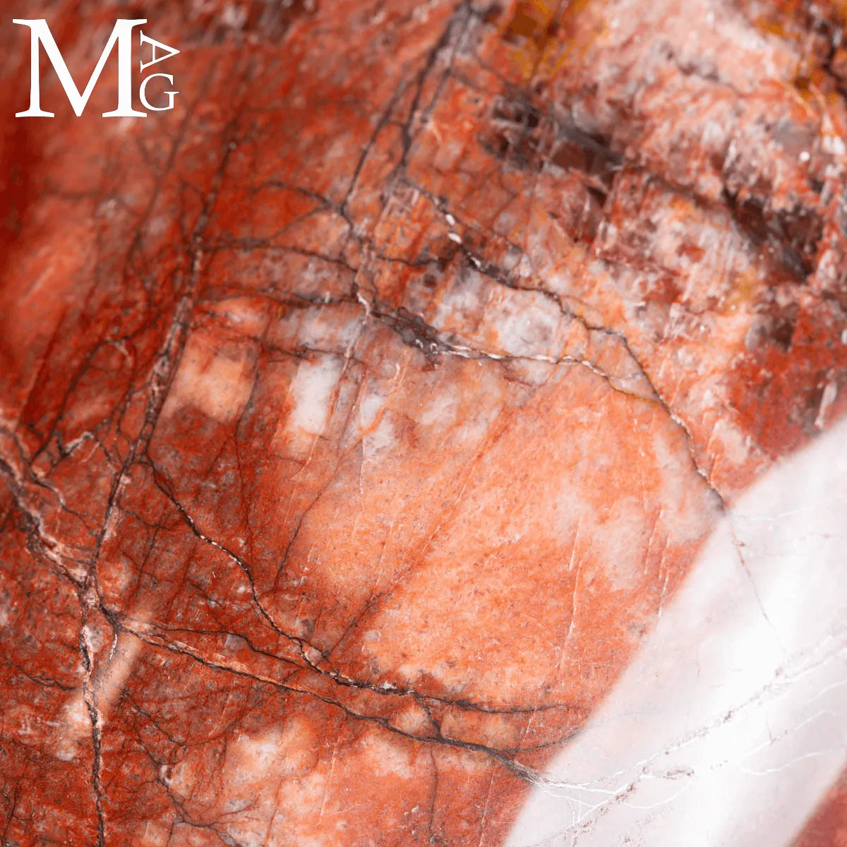 Shiva Lingam in Legno Fossile Agatizzato.