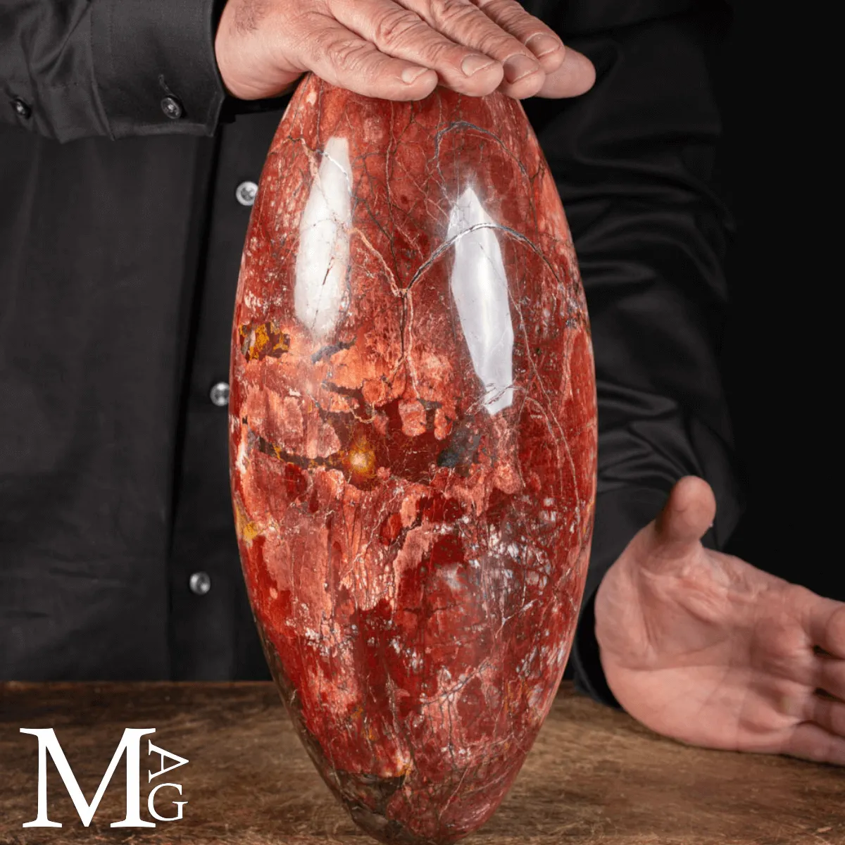 Shiva Lingam in Legno Fossile Agatizzato.