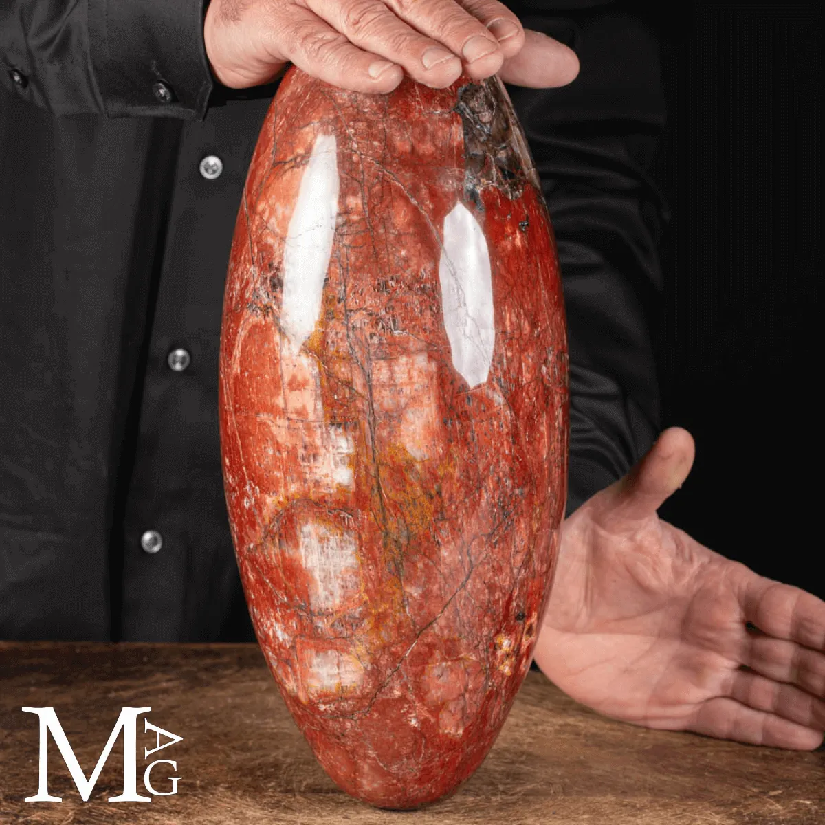 Shiva Lingam in Legno Fossile Agatizzato.