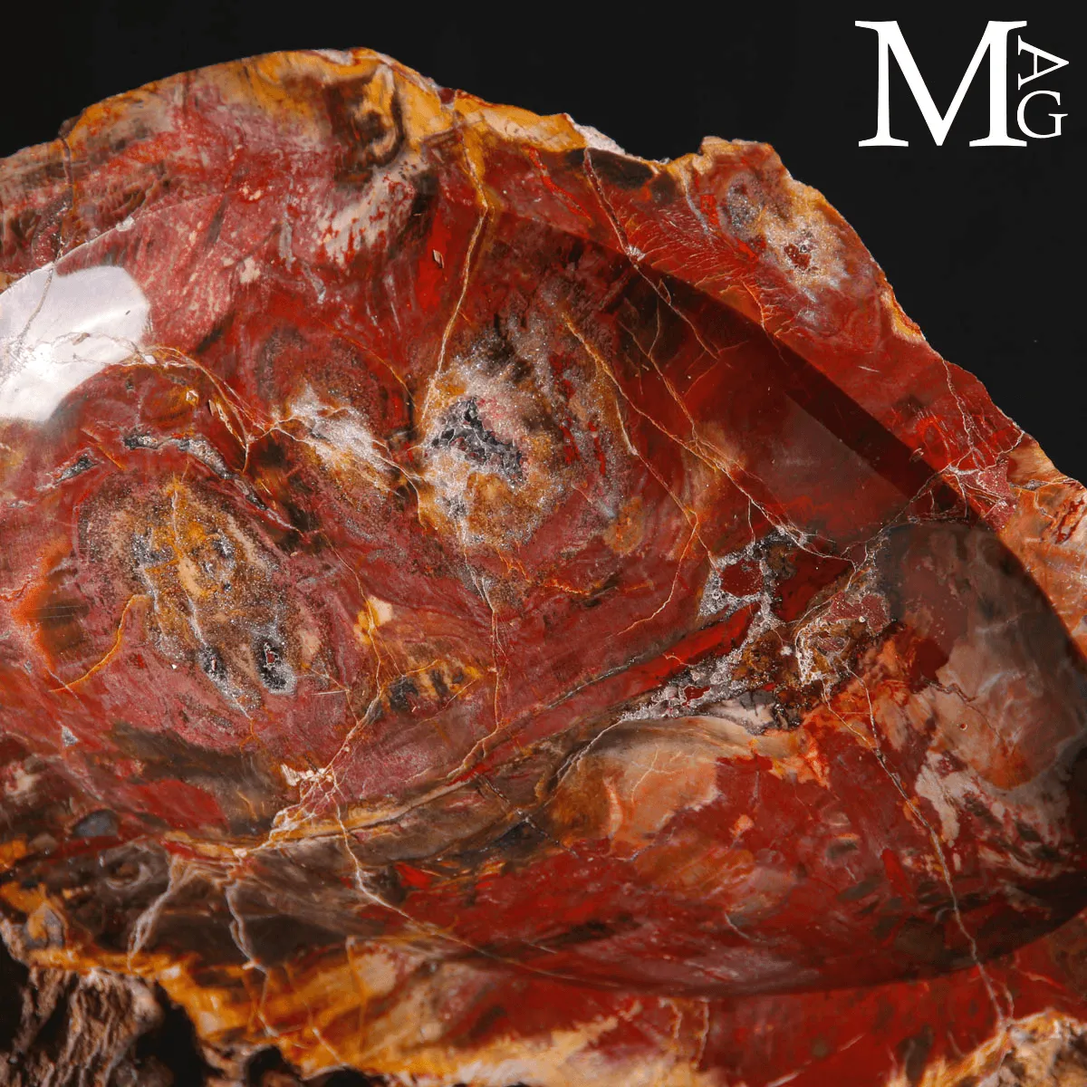 Svuotatasche in legno fossile Agatizzato – Madagascar