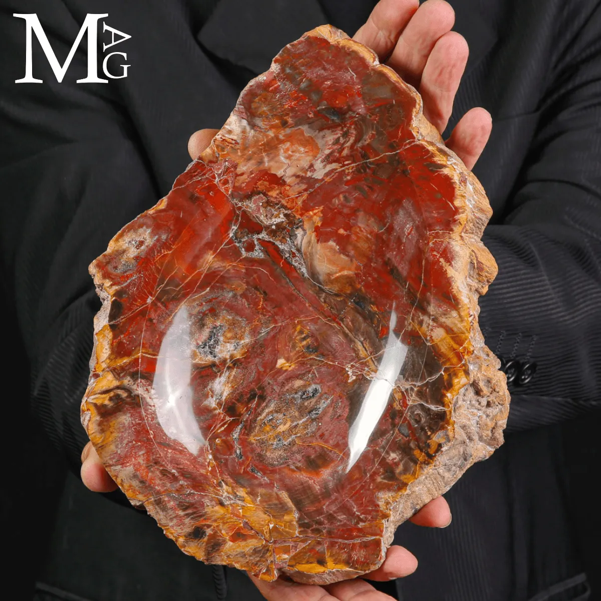 Svuotatasche in legno fossile Agatizzato – Madagascar