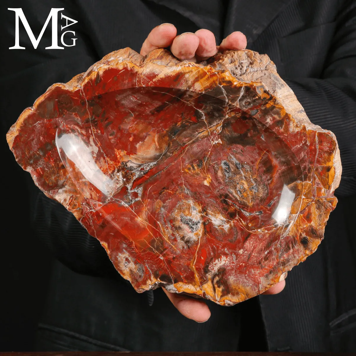 Svuotatasche in legno fossile Agatizzato – Madagascar
