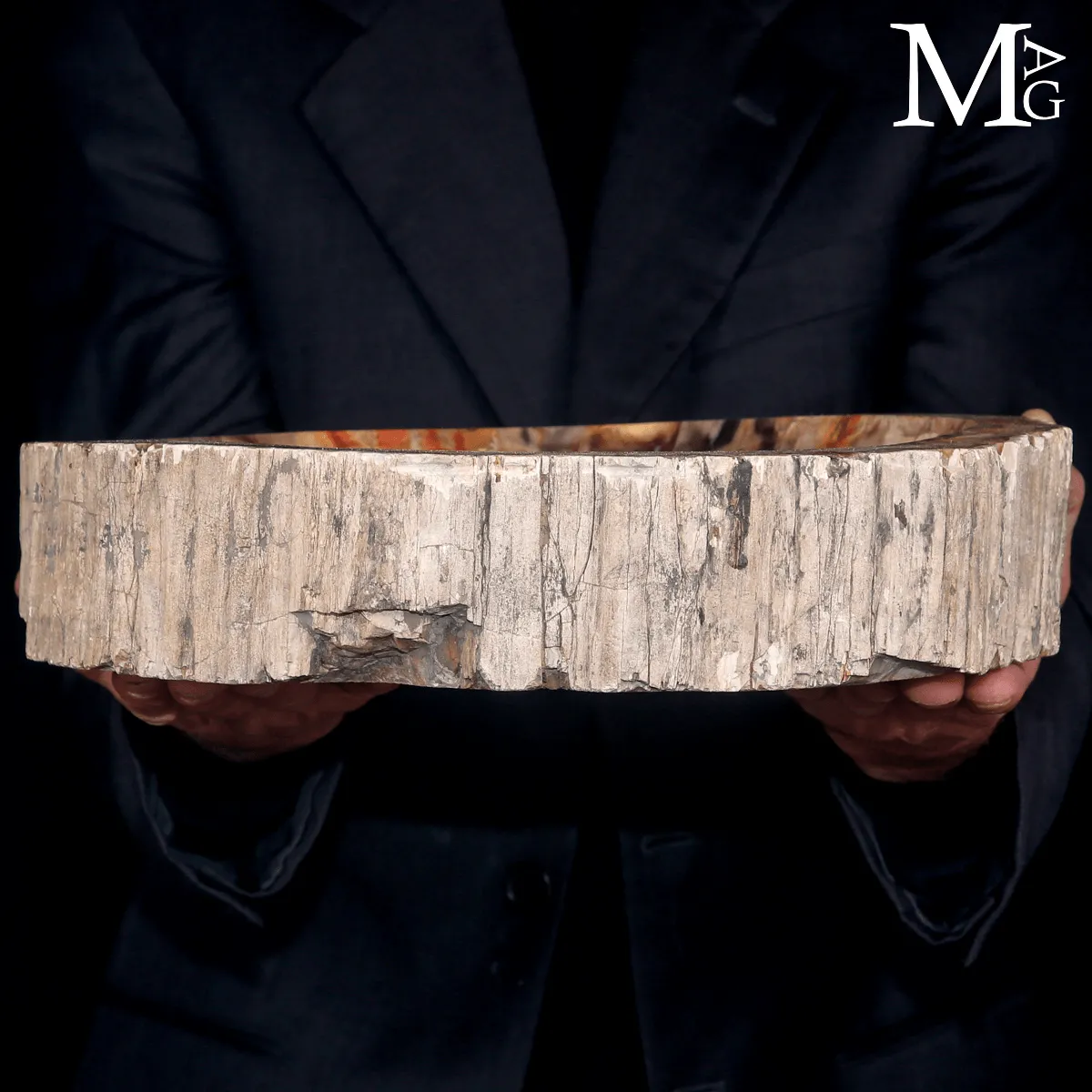 Svuotatasche in Legno Fossile del Madagascar