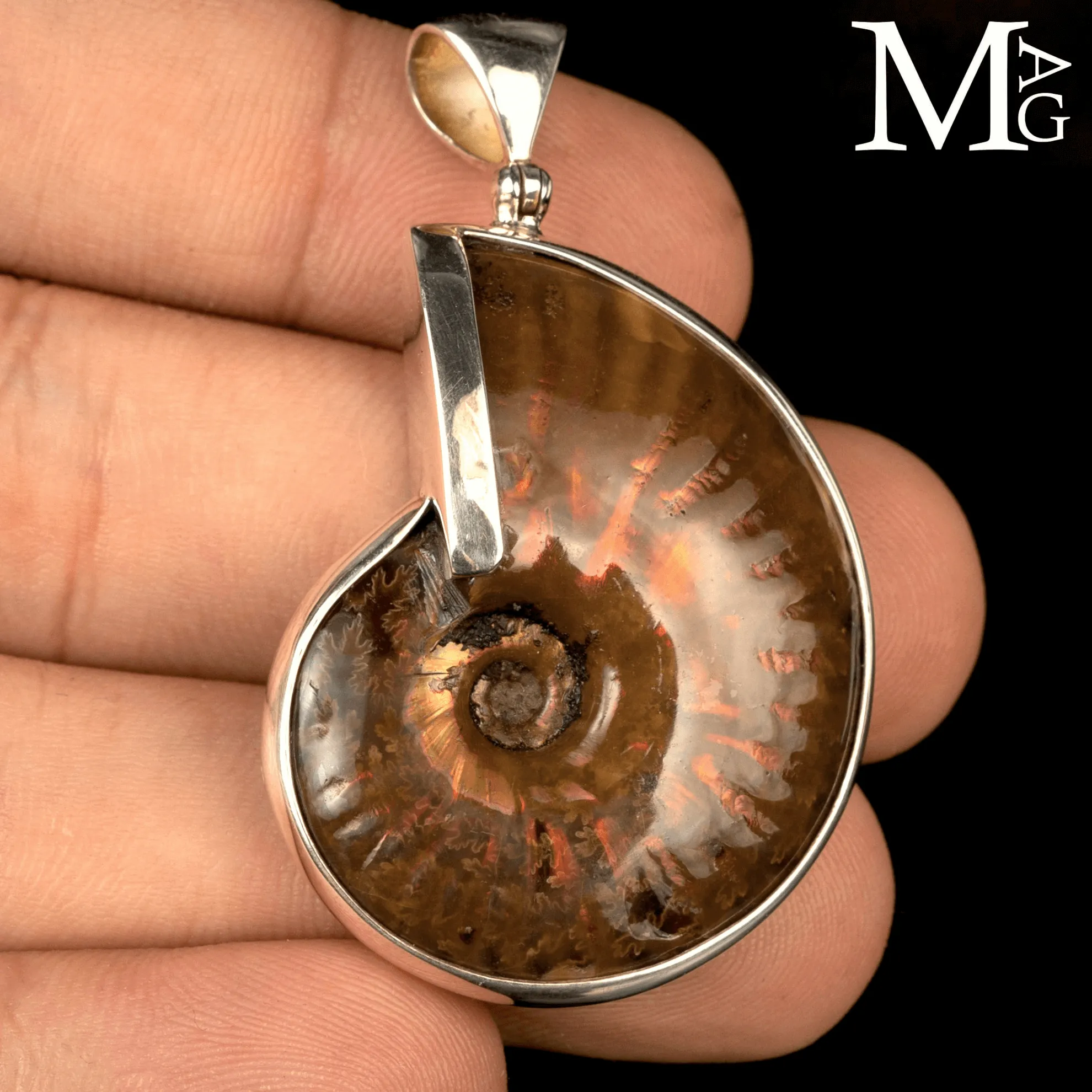 Ciondolo in argento con Ammonite Cleoniceras Iridescente.
