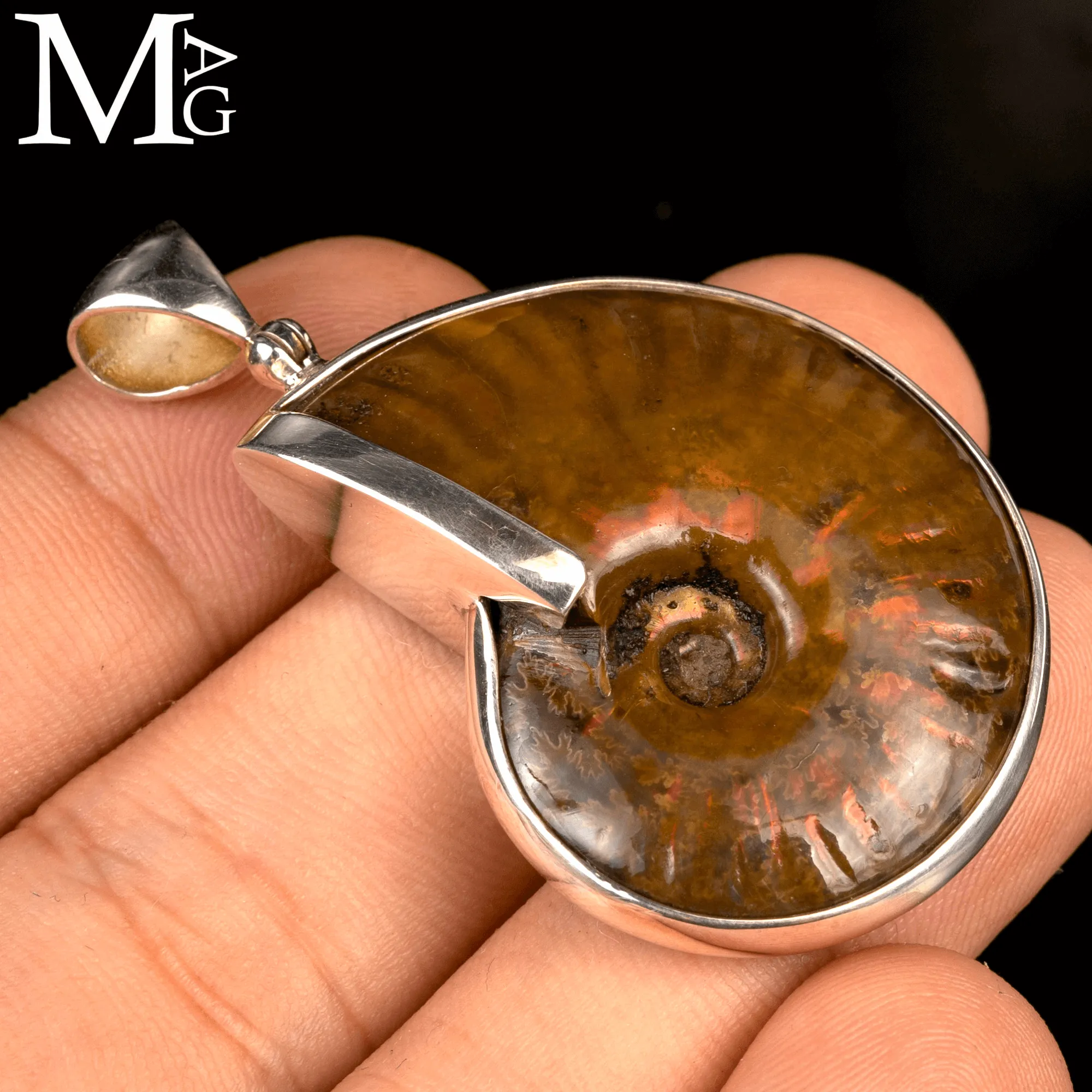 Ciondolo in argento con Ammonite Cleoniceras Iridescente.