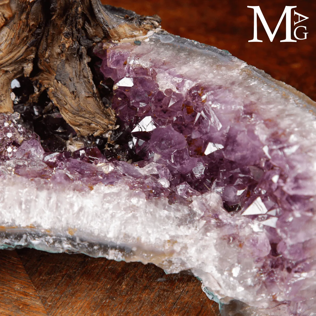 Albero Ornamentale in Corniola su geode di Ametista.