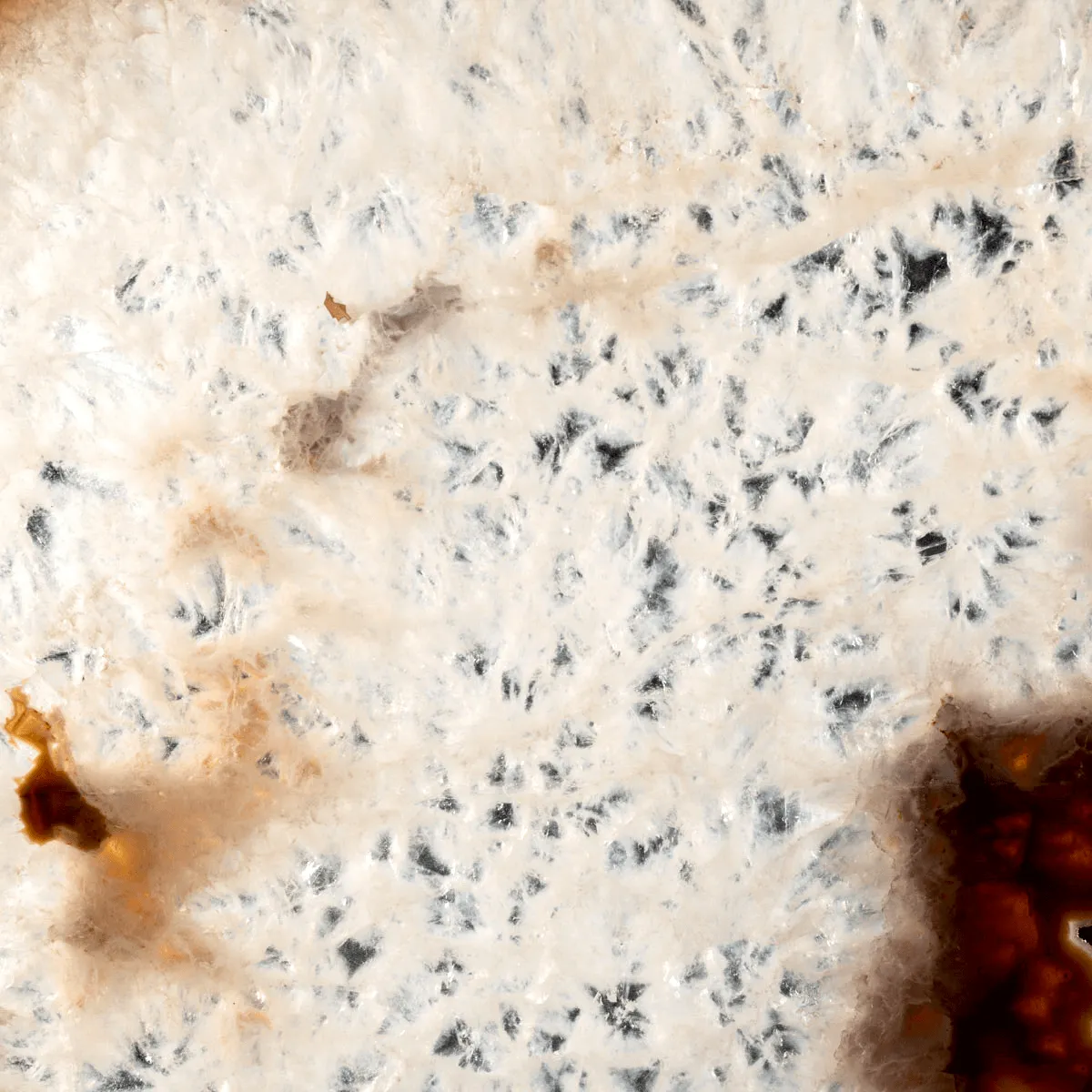 Fetta di Agata Naturale – Sezione da Geode.