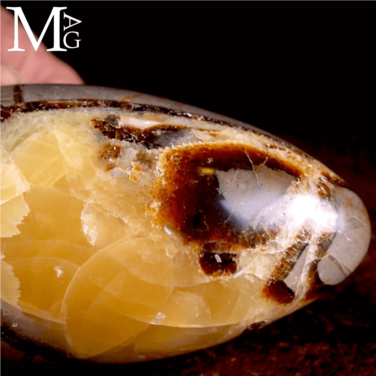 Shiva Lingam in Septaria: Aragonite e Calcite