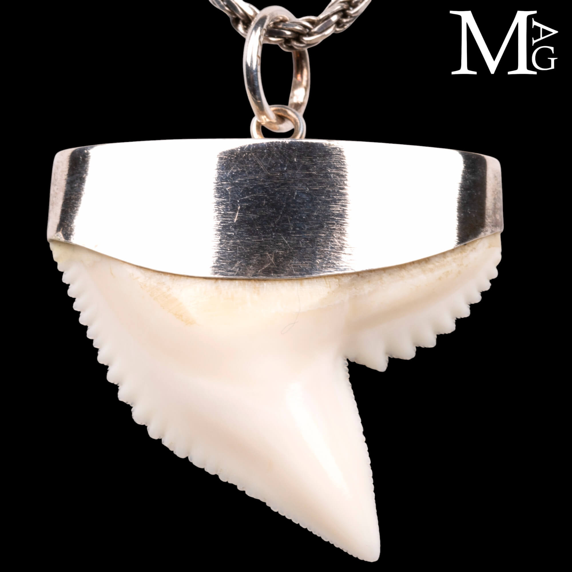 PartyKindom – Set Di 12 Ciondoli A Forma Di Dente Di Squalo | In Metallo Argentato, Per Collane, Bracciali, Portachiavi Fai Da Te