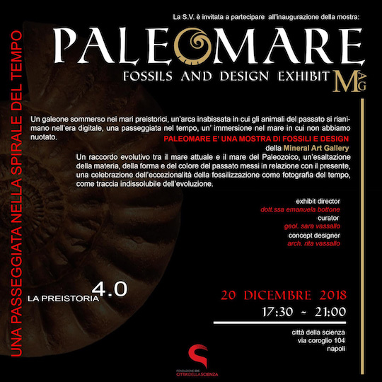 Paleomare Exhibition inauguration