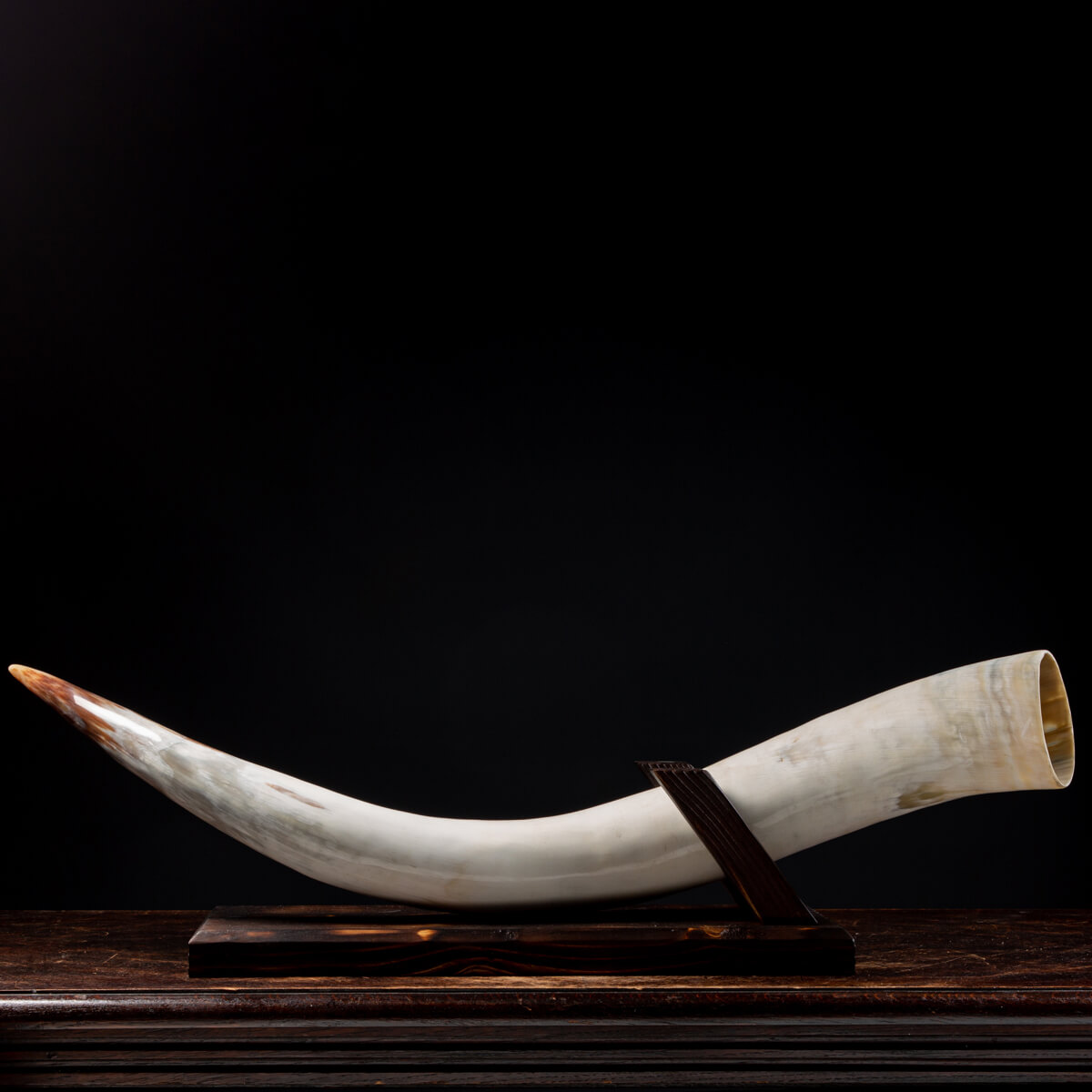 Corno Cervo Trofeo - Gehoern Su Scudo Legno MDF Bianco Decorazione