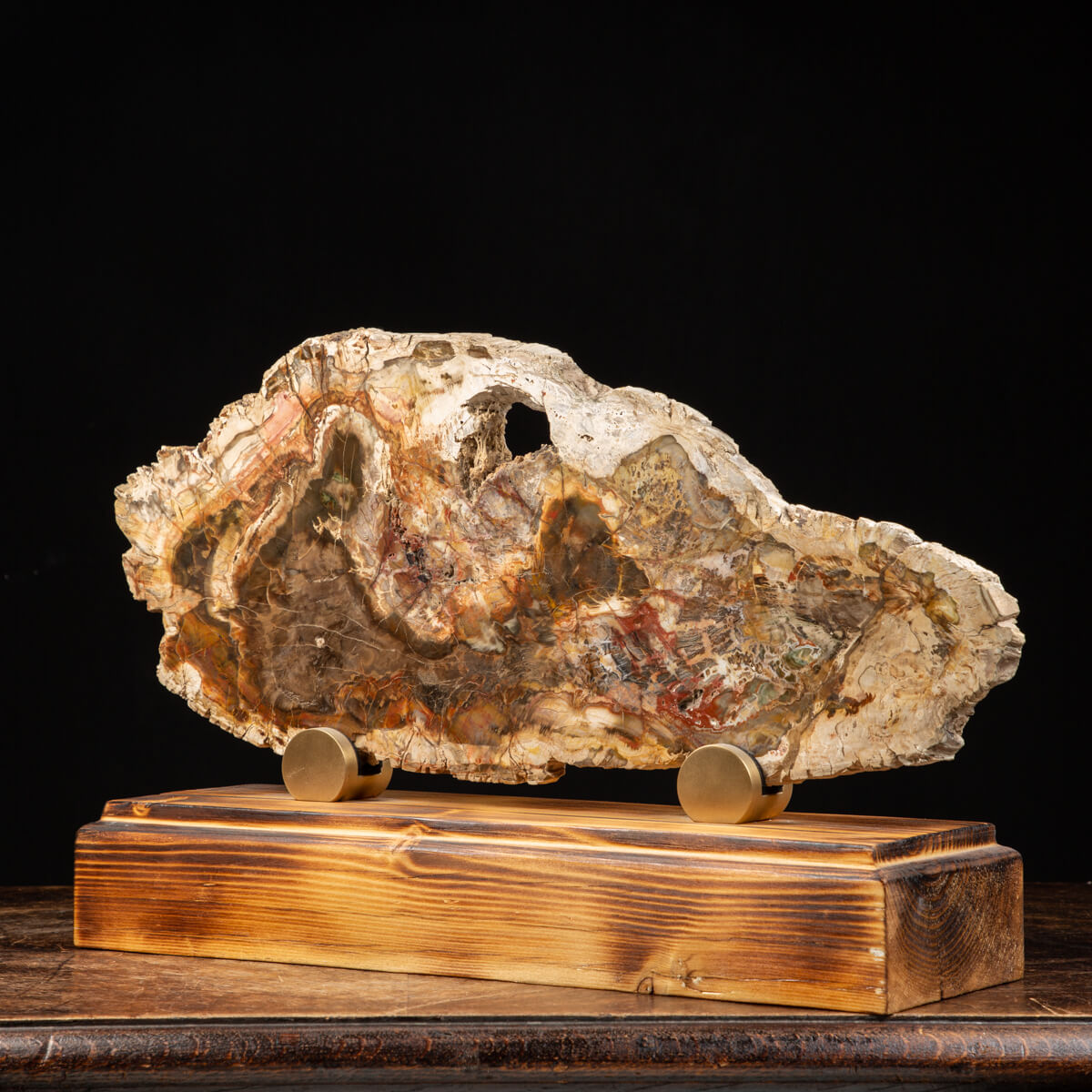 Fossil Wood Slab on Pedestal