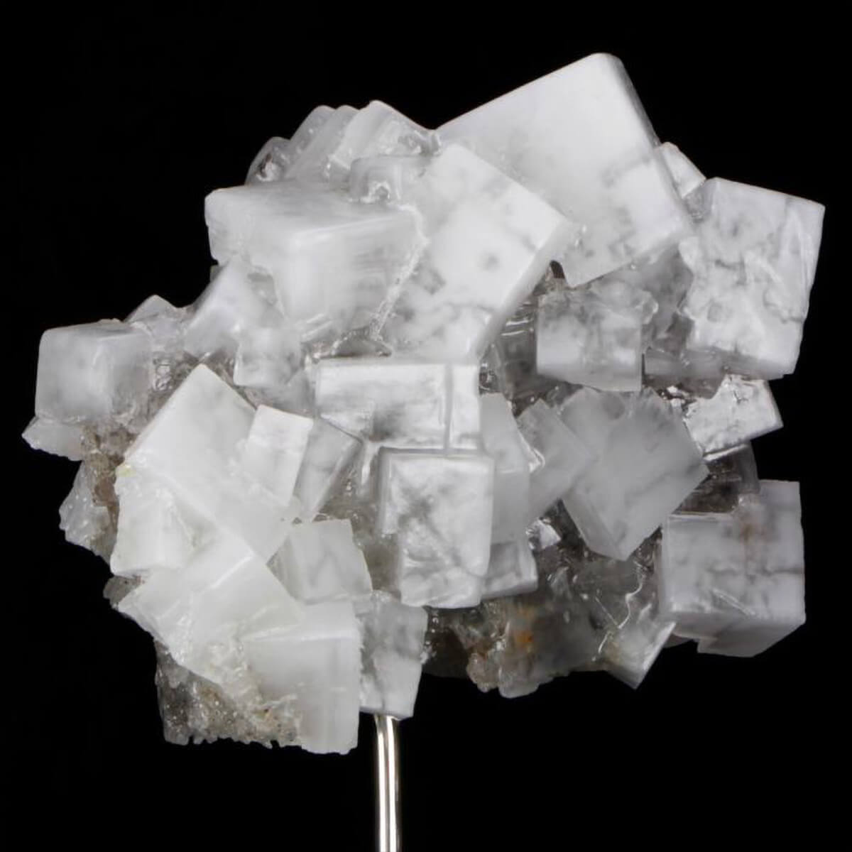 Halitkristall auf Holzsockel montiert